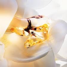 2Pcsđ´Combo Offerđ´Jâadore Parfum dâEau White 100 ml (W) + Y Eau de Parfum 100 ml (M)