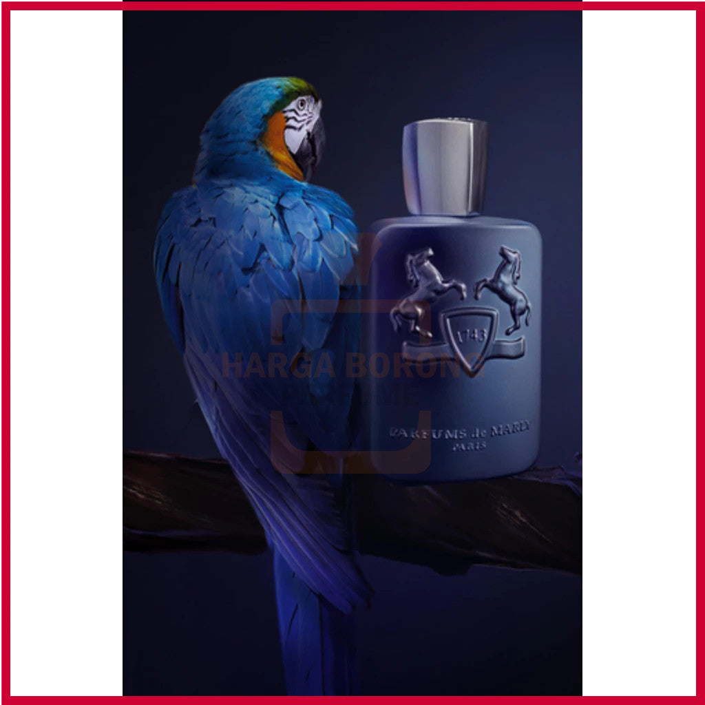 🟢🟡🔴Original (✅Harga Borong) Layton Eau de Parfum 125 ml for Women & Men