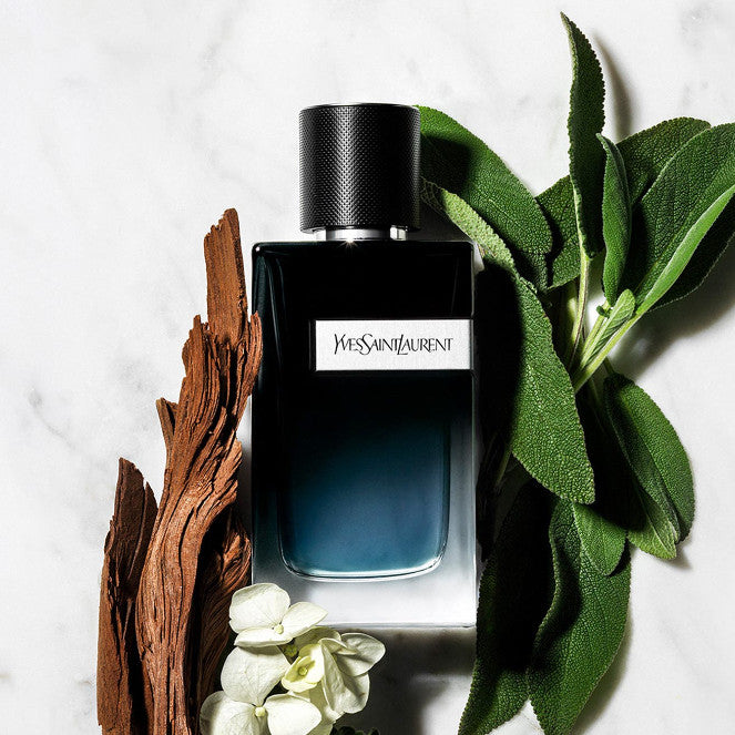 🟢🟡🔴Original (✅Harga Borong) Y Eau de Parfum 100 ml Fragrance For Men