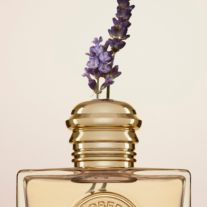 🟢🟡🔴Original (✅Harga Borong) Goddess Refillable Eau de Parfum 100ml a Fragrance for Women
