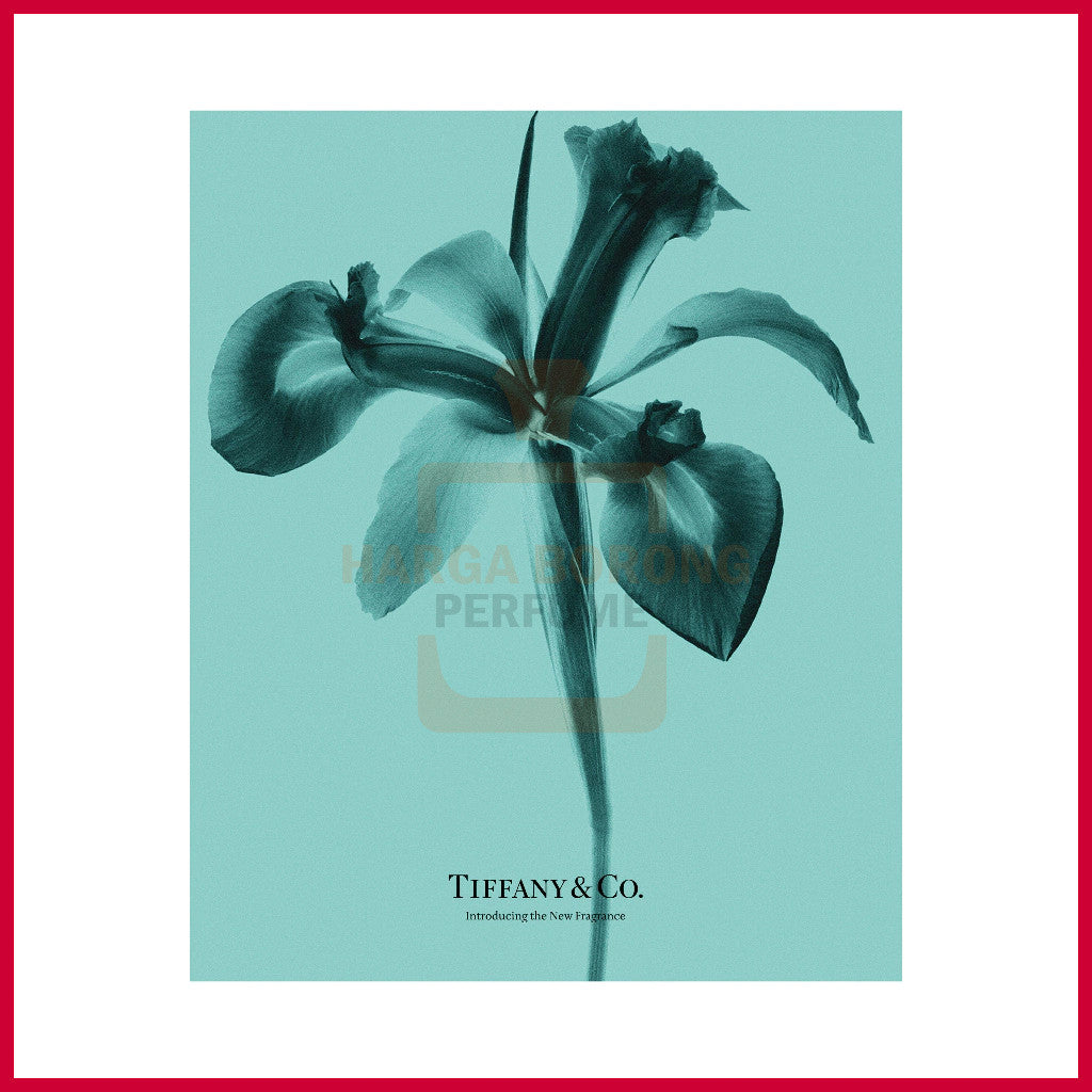 🟢🟡🔴Original (✅Harga Borong) Tiffany&Co Edp Intense 75ml women