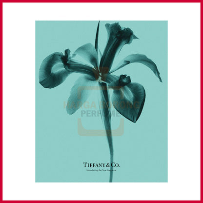 Tiffany&Co Edp Intense 75ml women